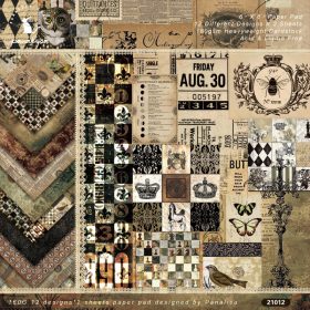 SUMFLYING ANCIENT INSECTS THEME SCRAPBOOK & CARDSTOCK PAPER