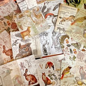 SUMFLYING RABBIT SCRAPBOOK & CARDSTOCK PAPER O1CN01Dq4f0S1J5VmENFGUJ 2209450250977 0 cib