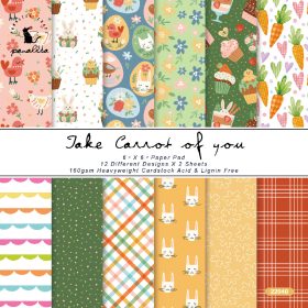 SUMFLYING SPRING OUTING SCRAPBOOK & CARDSTOCK PAPER