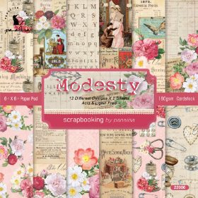 SUMFLYING RETRO LARGE SCRAPBOOK & CARDSTOCK PAPER