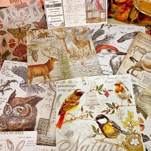SUMFLYING RABBIT SCRAPBOOK & CARDSTOCK PAPER O1CN01nd7bdL1J5VmH0eBrx 2209450250977 0 cib