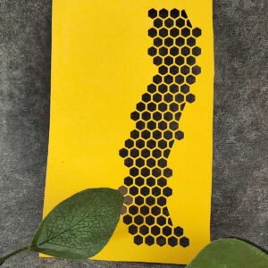 O1CN0184q1GJ25SVKfF4tN4 4004587525 0 cib