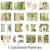 1. Cardstock Materials (16 pcs/pack)