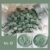 No. 12: Sage Green