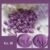 No. 16: Plum Purple