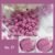 No. 17: Dusty Pink