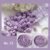 No. 23: Lavender