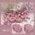 No. 24: Coral Pink