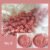 No. 6: Coral Pink