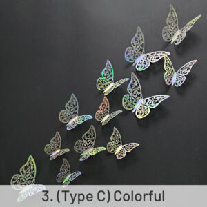 3. Type C