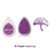 18.Purple Hydrange