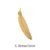 5. Brass Color