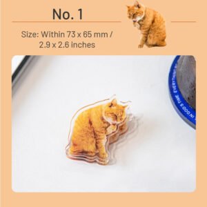 Adorable Cat Acrylic Clips adorable cat acrylic clips sku 1