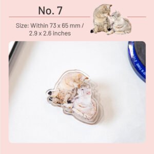 Adorable Cat Acrylic Clips adorable cat acrylic clips sku 7