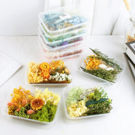 Air-Dried Real Flower Boxed Preserved Floral Material Pack