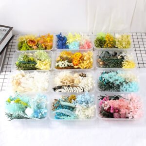 air dried real flower boxed preserved floral material pack b3