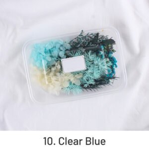 air dried real flower boxed preserved floral material pack sku 10