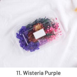 air dried real flower boxed preserved floral material pack sku 11