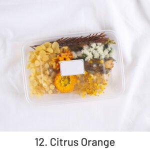 air dried real flower boxed preserved floral material pack sku 12