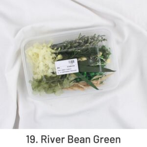 air dried real flower boxed preserved floral material pack sku 19