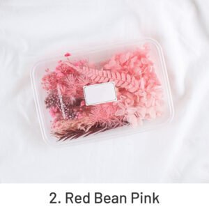 air dried real flower boxed preserved floral material pack sku 2