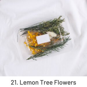 air dried real flower boxed preserved floral material pack sku 21