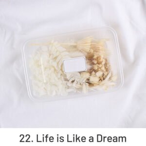 air dried real flower boxed preserved floral material pack sku 22