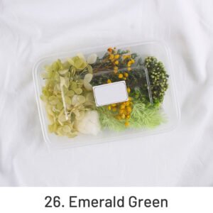 air dried real flower boxed preserved floral material pack sku 26