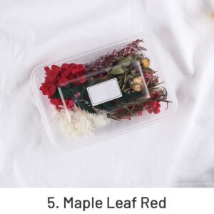 air dried real flower boxed preserved floral material pack sku 5