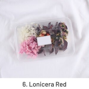 air dried real flower boxed preserved floral material pack sku 6