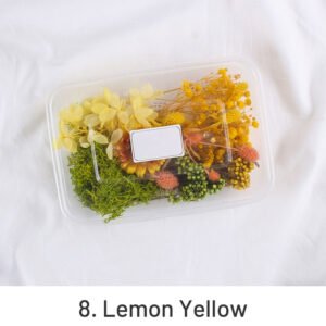 air dried real flower boxed preserved floral material pack sku 8