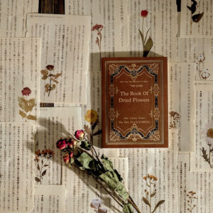 attic library series vintage trace book page decorative paper b4