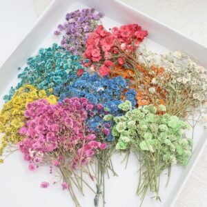 Babys Breath DIY Dried Flower Material Pack