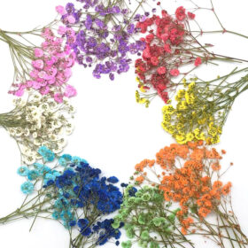 Babys Breath DIY Dried Flower Material Pack