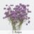 2. Purple
