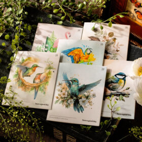 Bird-themed Clear Transparent Stickers