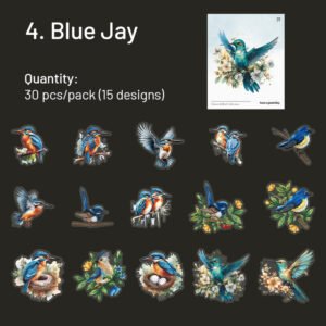 Bird-themed Clear Transparent Stickers bird themed pet stickers sku 4