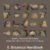 6. Botanical Handbook