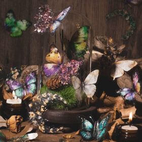 Butterfly and Moon Clear Transparent Stickers