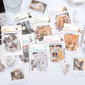 Cat Themed Die Cut Clear Transparent Stickers