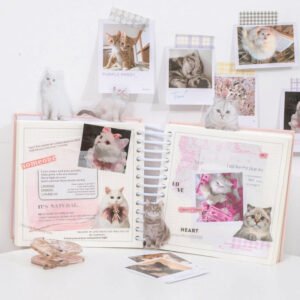 capturing cat cuteness pet stickers b2