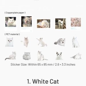 capturing cat cuteness pet stickers sku 1