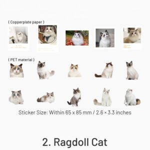 capturing cat cuteness pet stickers sku 2