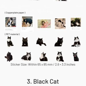 capturing cat cuteness pet stickers sku 3