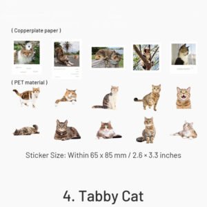 capturing cat cuteness pet stickers sku 4