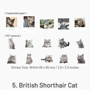 capturing cat cuteness pet stickers sku 5