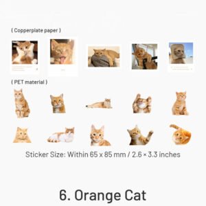 capturing cat cuteness pet stickers sku 6