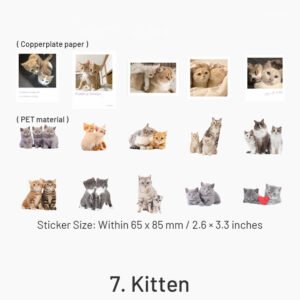capturing cat cuteness pet stickers sku 7