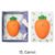 13. Carrot