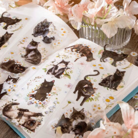 Cat Adventure Series Clear Transparent Stickers